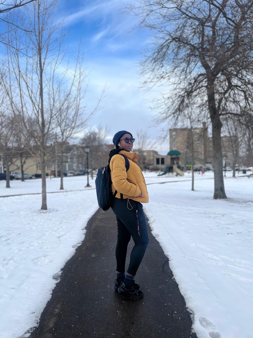 rolake article cover